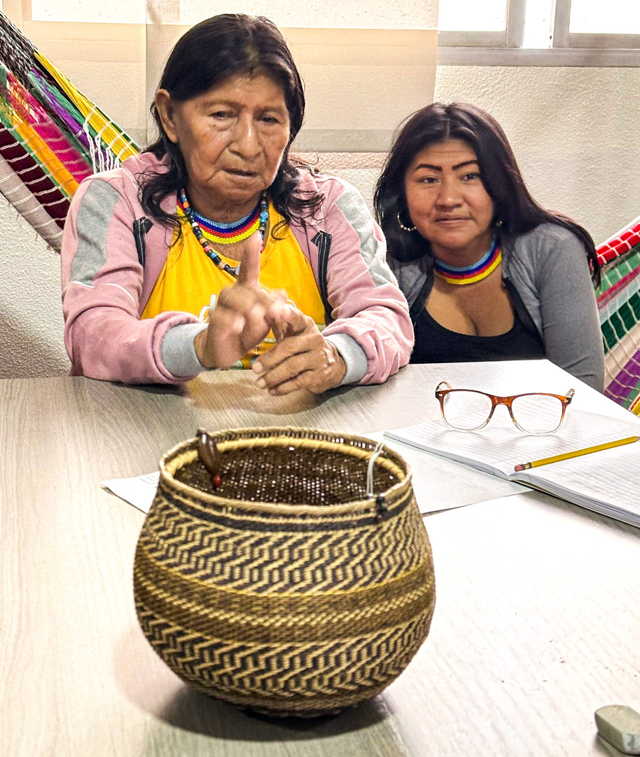 La escuela ecosistema de aprendizajes