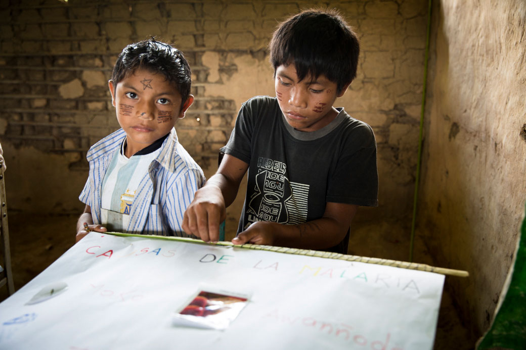 Proyecto de aula Malaria