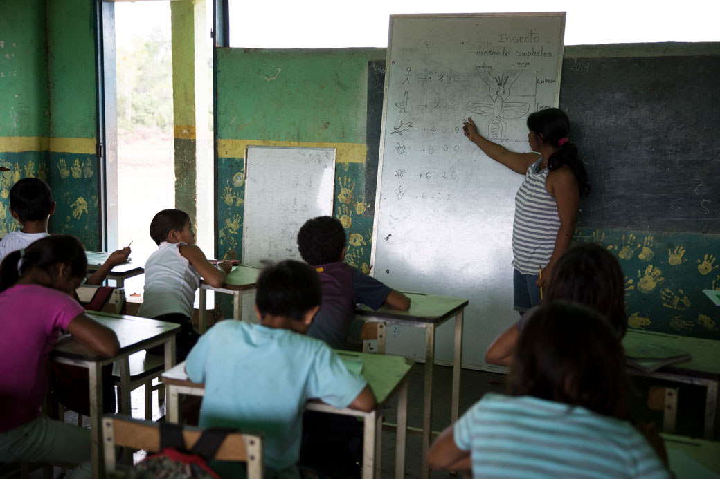 Proyecto de aula Malaria