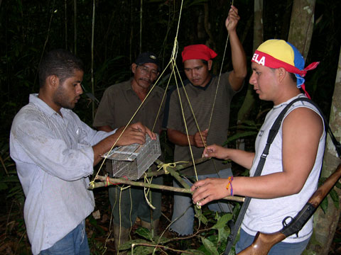 Diversidad Biológica en el río Caura