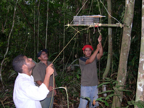 Diversidad Biológica en el río Caura