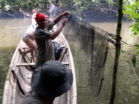 Diversidad Biológica en el río Caura