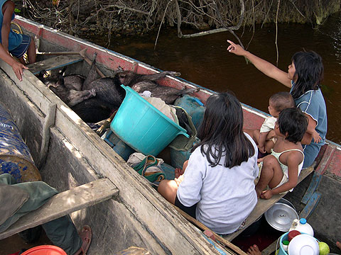 Diversidad Biológica en el río Caura