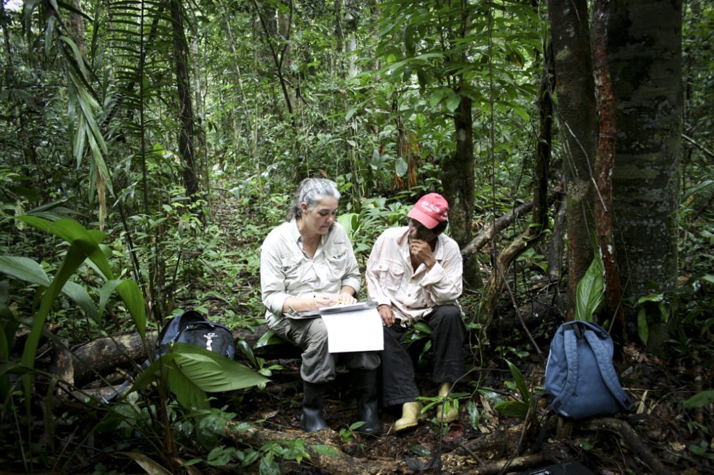 Bosques y Cestas