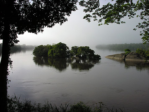 Conservación de Bosques