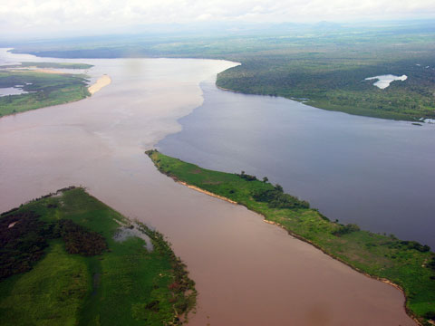 Conservación de Bosques