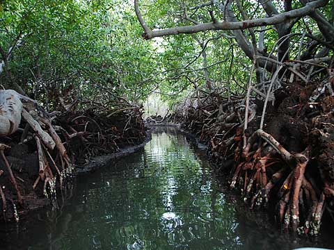 P.N. Laguna La Restinga