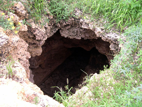 Cuevas de Paraguaná