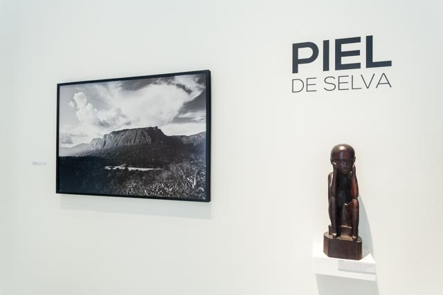 Exposición: "Piel de Selva"