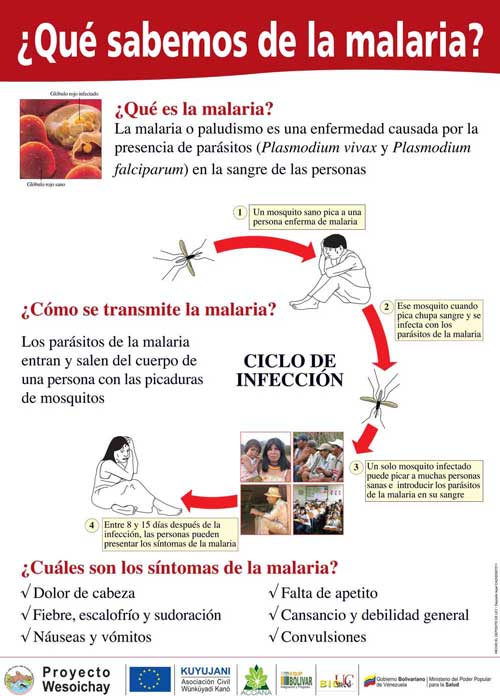 ¿Qué sabemos de la malaria?